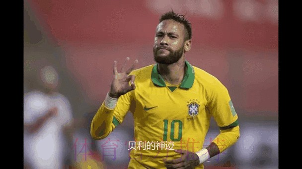 深入解析世界杯投注实时官方动态