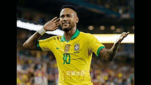 深入解析世界杯投注实时官方动态